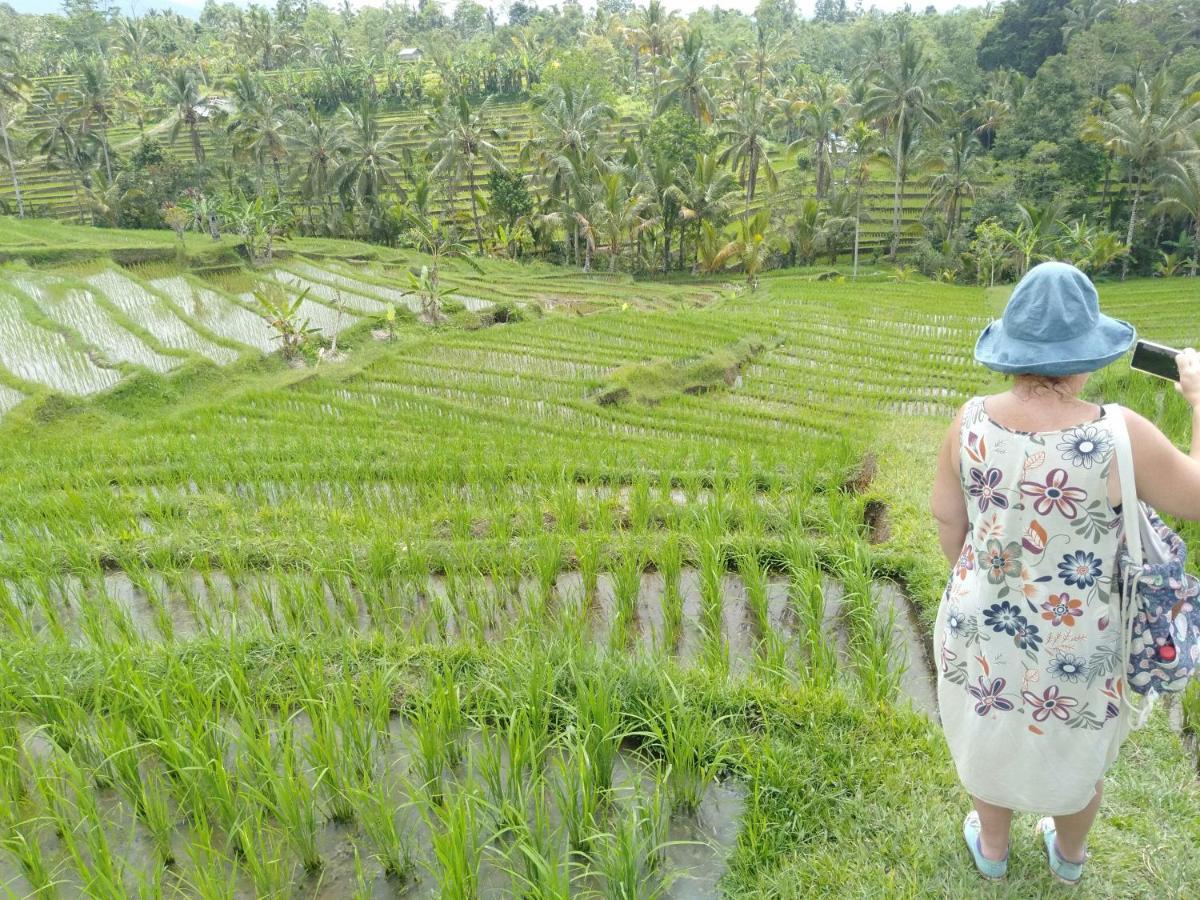 D'Ume Bendoel Homestay Jatiluwih Exterior photo
